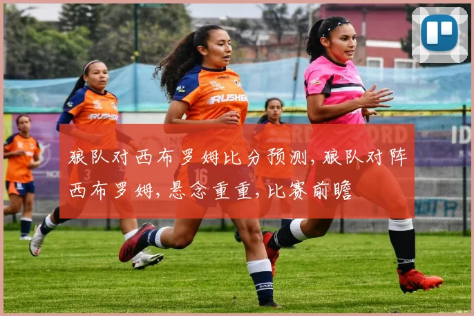 狼队对西布罗姆比分预测,狼队对阵西布罗姆,悬念重重,比赛前瞻